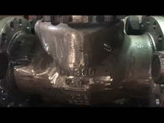 ASME API Standar WCB CF8 CF8M Swing Check Valve untuk penggunaan uap air dan minyak