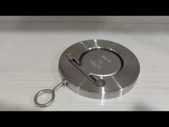 Katup Periksa Cakram Tunggal Baja Tahan Karat Baja Cor Standar ASME API GB