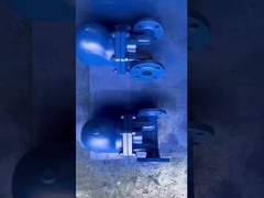 WCB CF8 CF8M Level Ball Float Steam Trap Untuk Penggunaan Uap