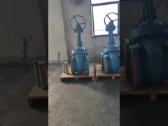Standard Rising Stem Gate Valve Stainless Steel Wedged Gate Valve ANSI ASME API Standar